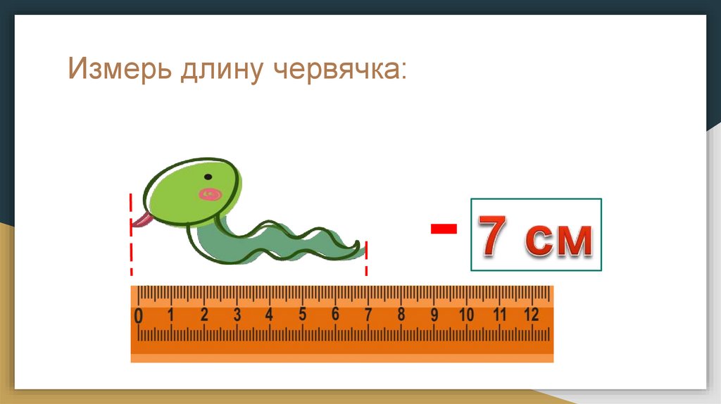 Звук червяков. Какой единицей длины измеряется червяк. Картинка червячка в длину для детей. Big small червяк на линейке. Картинки линейной мерки червячки.