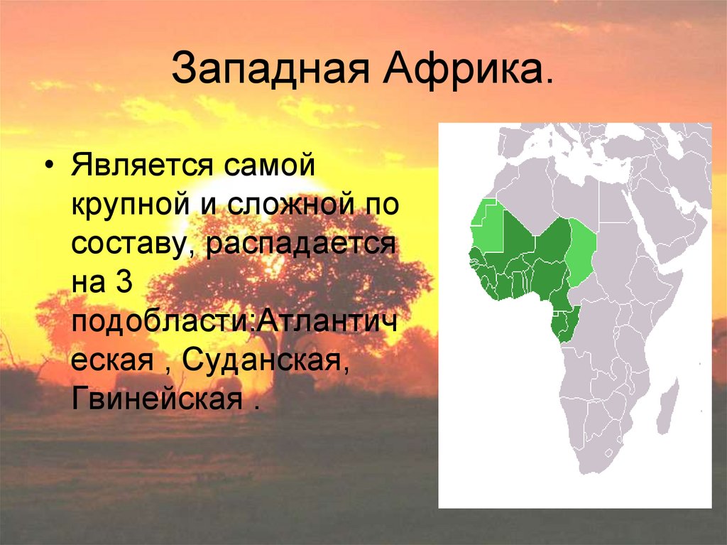 Западная и центральная африка география 7 класс. Западная Африка. Регионы Западной Африки. Западная и Центральная Африка. Западная Африка презентация.