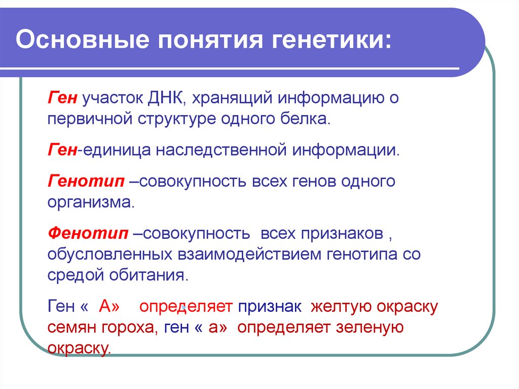 Основные понятия генетики. Генетика основные понятия. Основные понятия генотип. Основные понятия генетики:основные понятия генетики.