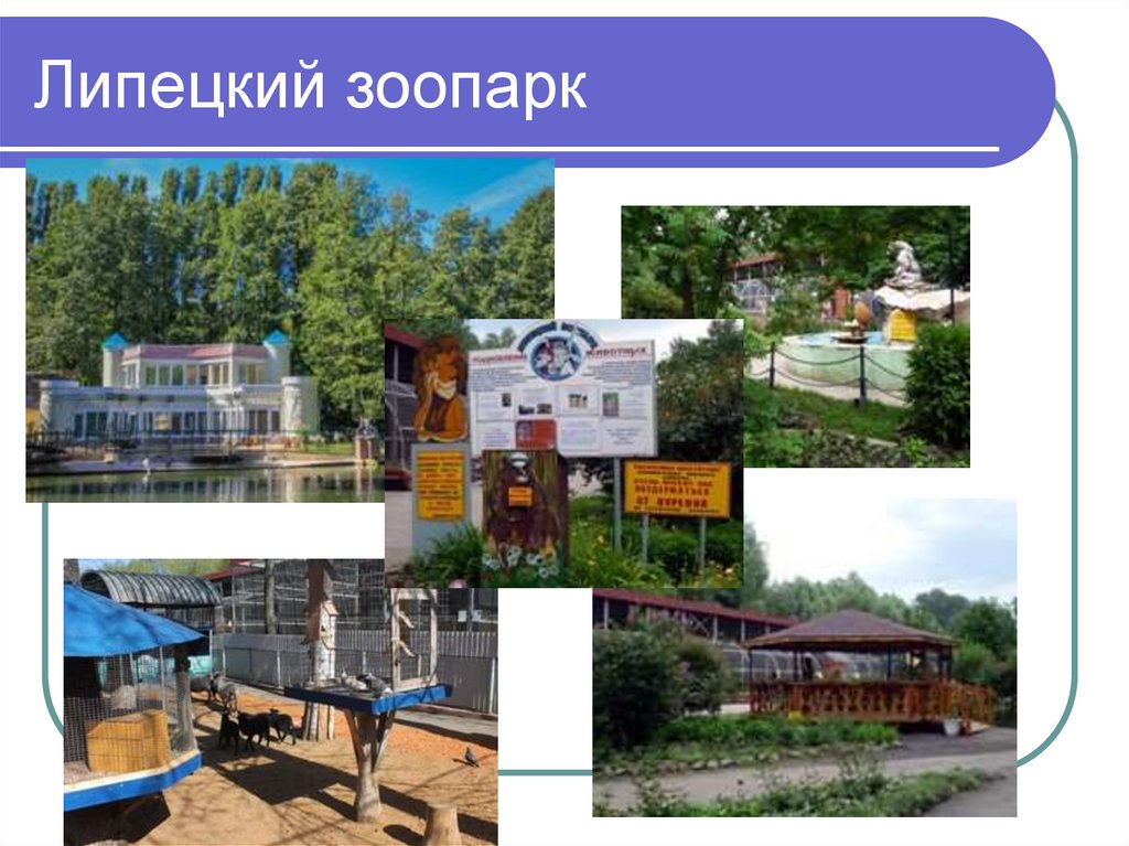 Липецкий зоопарк