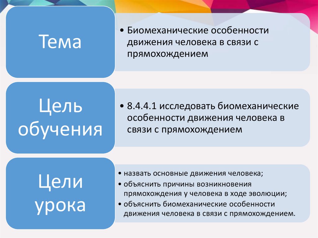 Характерные движения. Особенности движения человека. Биомеханические характеристики человека.