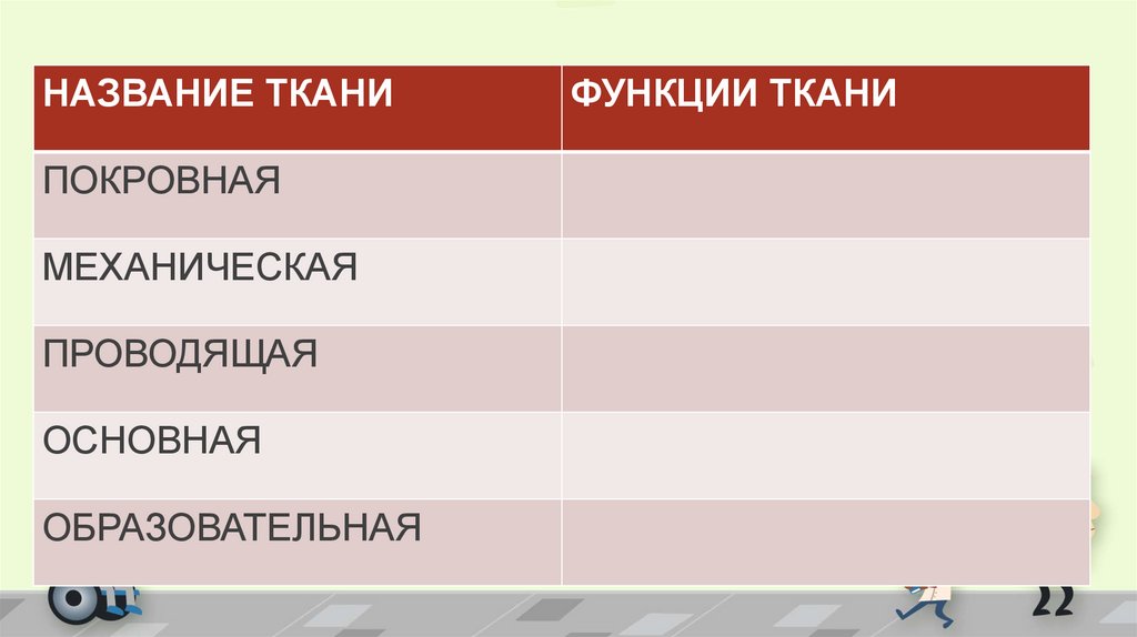 Название ткани функции