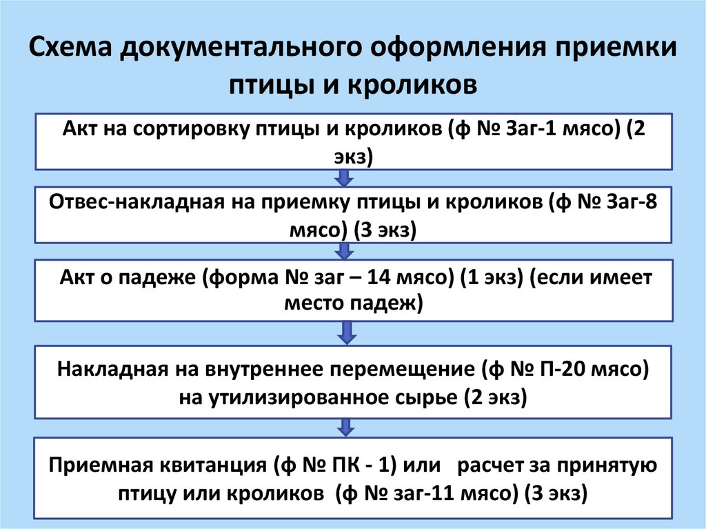 Пооперационная схема документального оформления приемки товаров