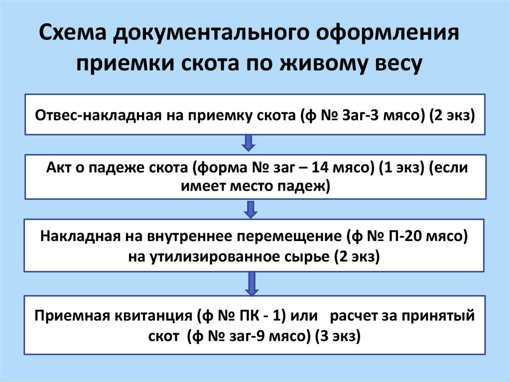 Пооперационная схема документального оформления приемки товаров