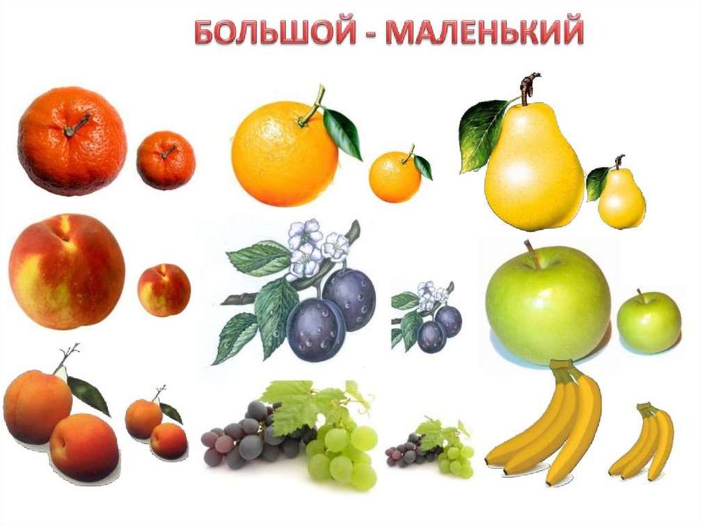 Fruit weeks. Фрукты для детей в детском саду. Фрукты для дошколят. Тема фрукты для детей. Тема овощи и фрукты для малышей.