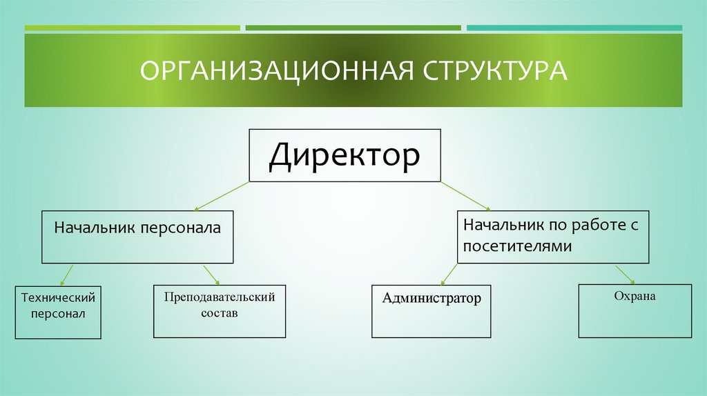 Организационная структура