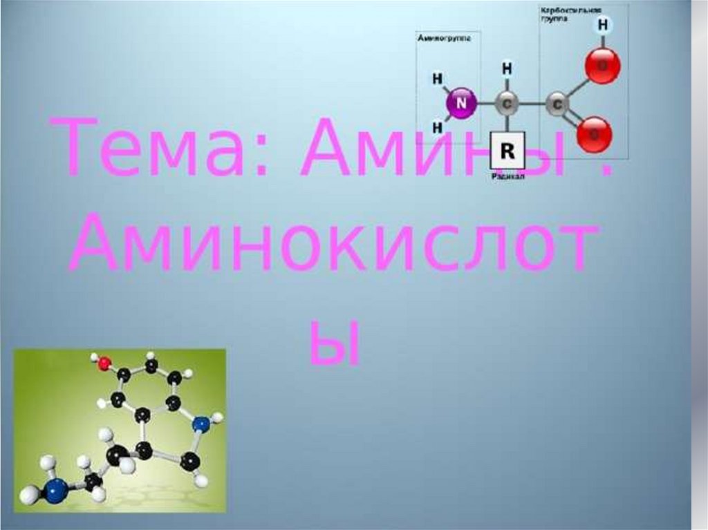 Презентация по теме амины