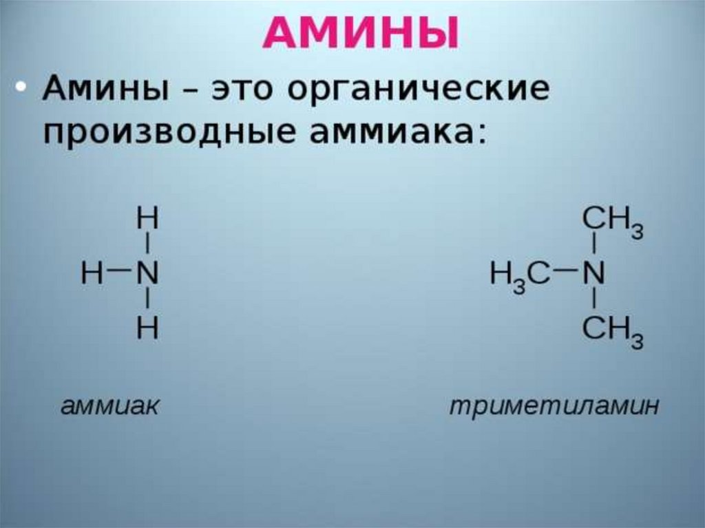 Амины химия презентация