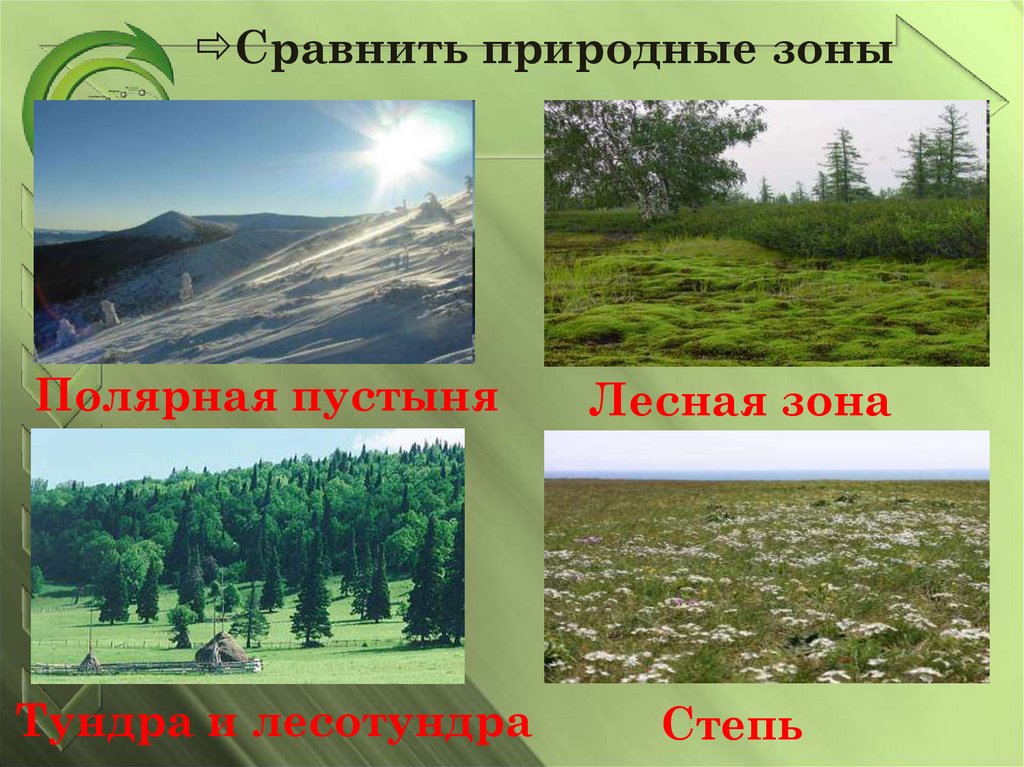 Подготовка к природным зонам. Природные зоны. Природно хозяйственные зоны. Природные зоны России. Презентация на тему природные зоны.