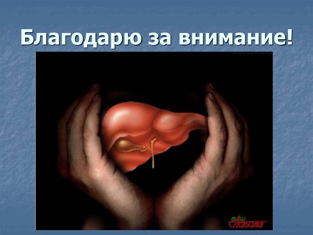 Благодарю за внимание!