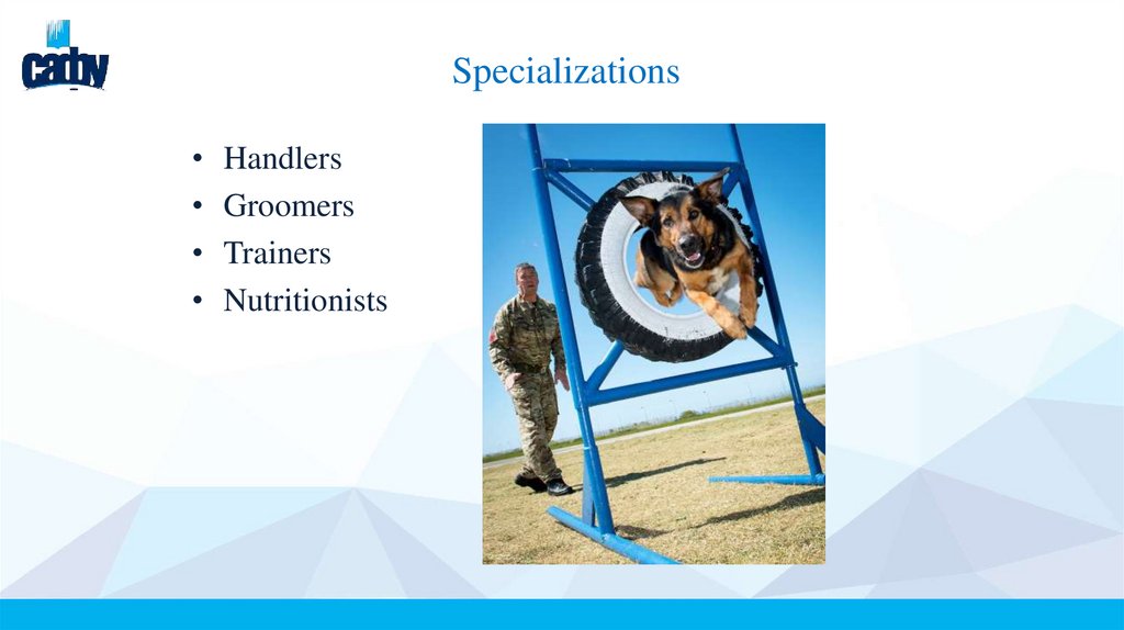 Specializations
