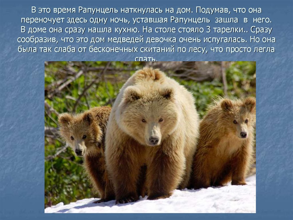 В это время Рапунцель наткнулась на дом. Подумав, что она переночует здесь одну ночь, уставшая Рапунцель зашла в него. В доме