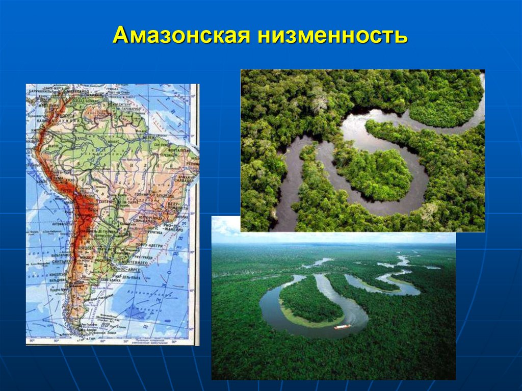 Какая самая большая низменность на земле. Амазонская низменность равнина. Южная Америка Амазонская низменность. Амазонская низменность на карте Южной Америки. Амазонская низменность на карте мира.