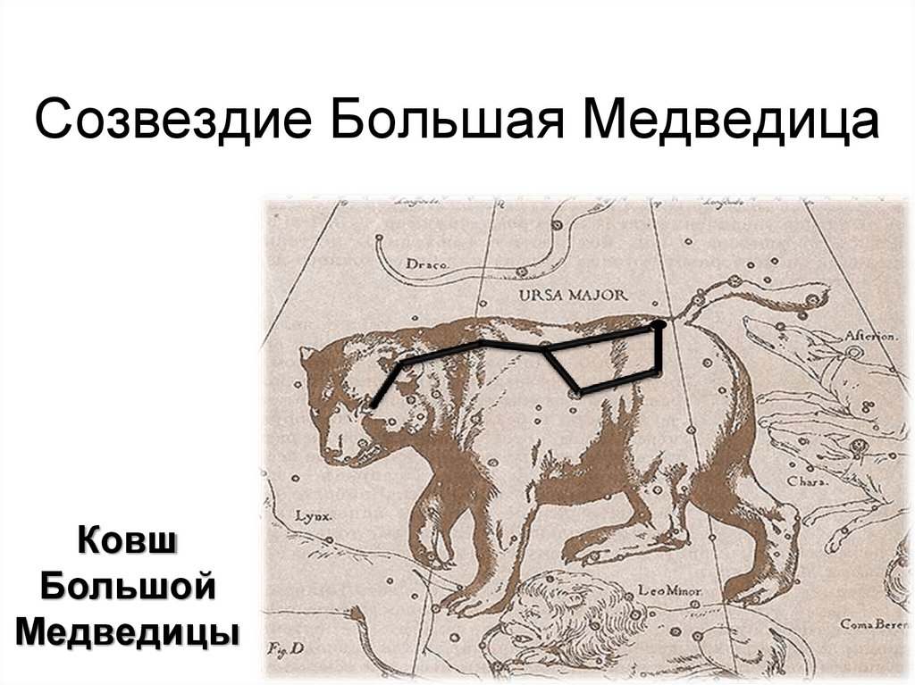 Как появилась большая медведица. Модель созвездия большой медведицы. Созвездие большой медведицы 1 класс. Созвездие большой медведицы окружающий мир 1 класс. Большая Медведица окружающий мир 1 класс.