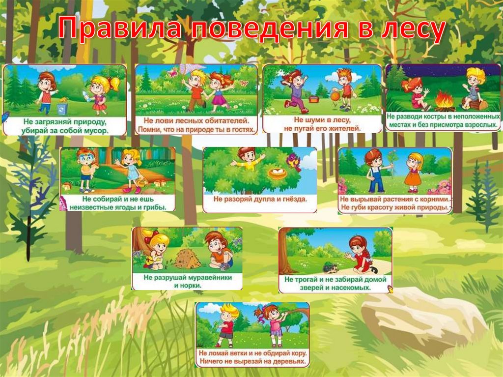 Презентации Тема Знакомство Дошкольников С Природой Беларуси