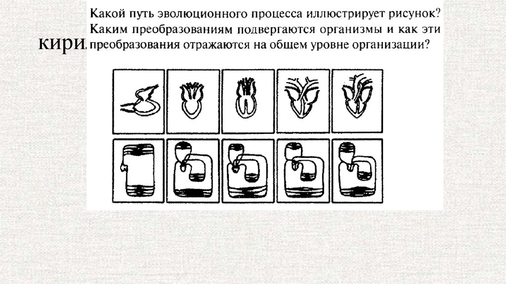 Какие свойства жизни иллюстрирует рисунок. Какой процесс иллюстрирует рисунок?. Какой способ эволюционного процесса иллюстрирует рисунок. Как процесс иллюстрирует этот опыт. Какой процесс в общественном развитии иллюстрируют эти факты.