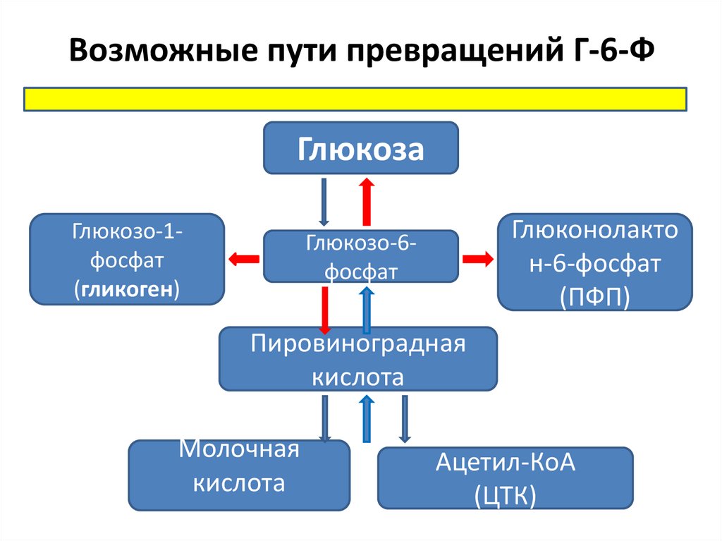 Путь трансформации