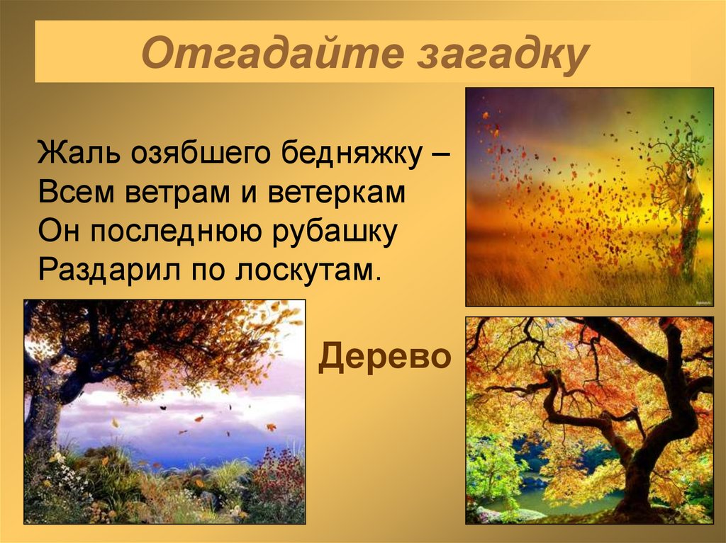 Отгадайте загадку