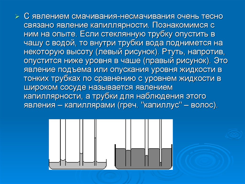 Капиллярные явления в природе презентация