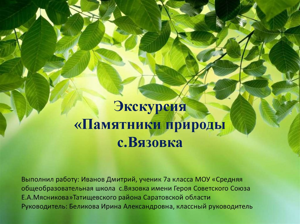 Подложка к презентации памятники природы. «Памятники природы Тульской области». Книга.