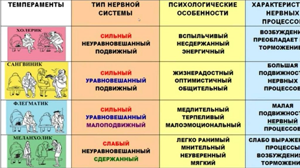 Типы темперамента человека и их характеристика презентация