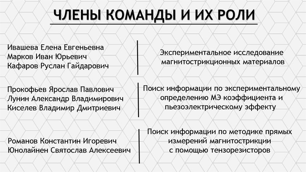 ЧЛЕНЫ КОМАНДЫ И ИХ РОЛИ