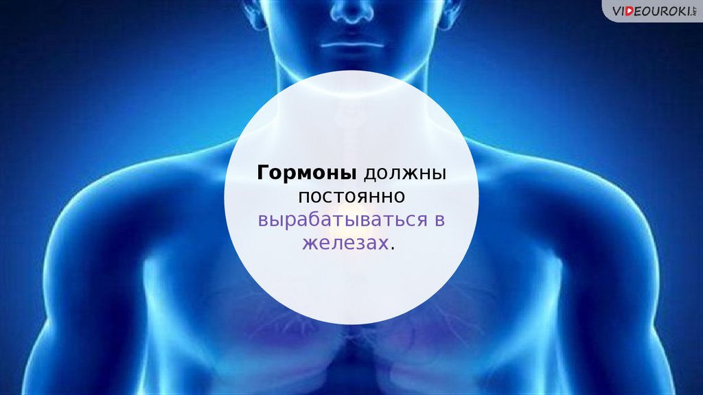Гормоны - презентация онлайн