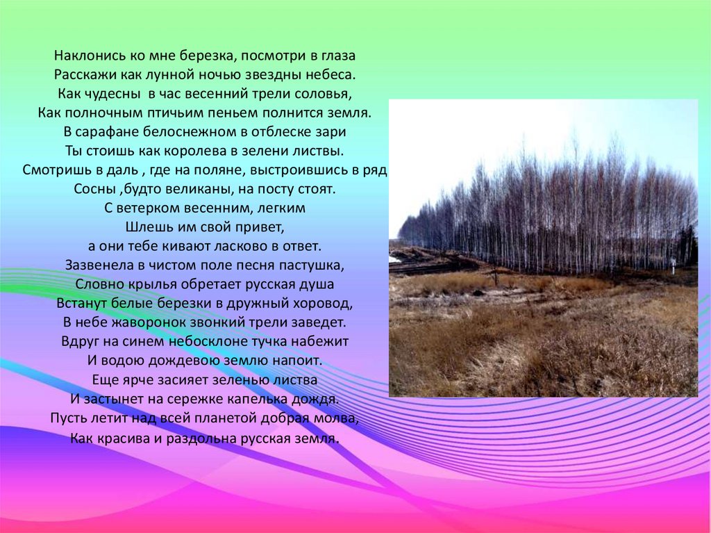 Наклонись ко мне березка, посмотри в глаза Расскажи как лунной ночью звездны небеса. Как чудесны в час весенний трели соловья,