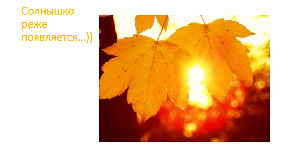 Солнышко реже появляется…))