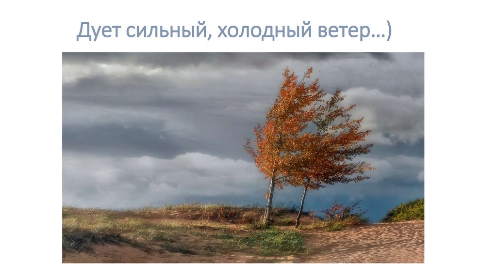 Дует сильный, холодный ветер…)