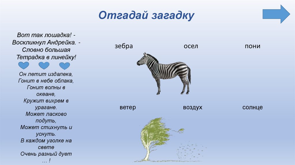 Отгадай загадку