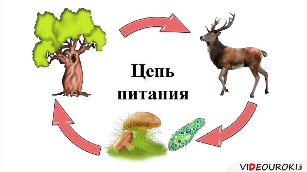 Как нарисовать природный комплекс