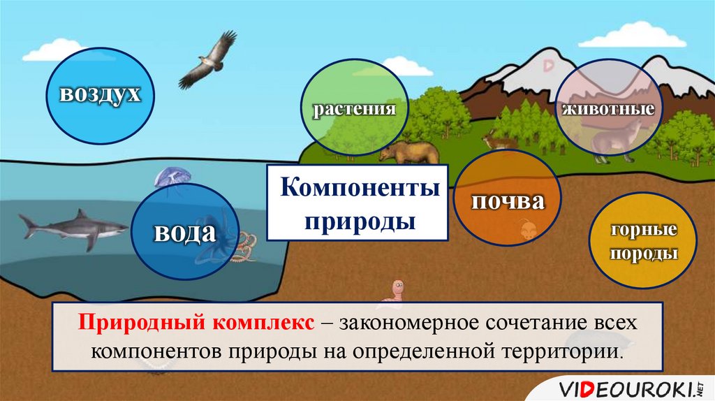 Природный комплекс моря