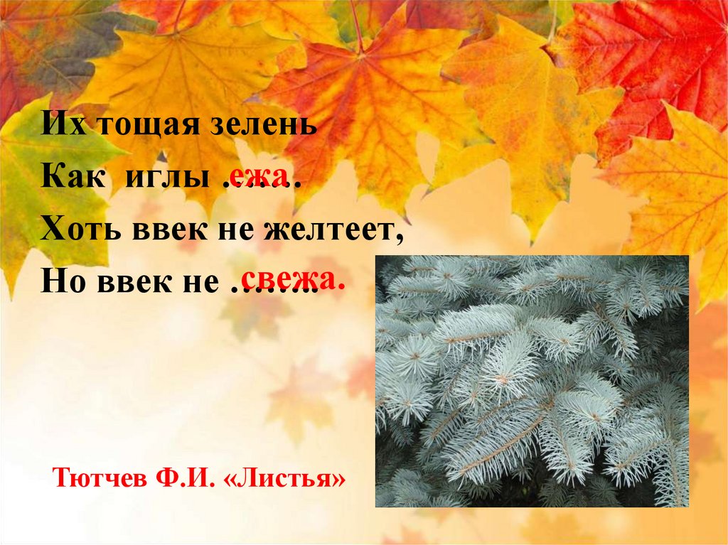 Текст тютчева листья. Тютчев листья. Стих листья. Тютчев листья стихотворение. Рисунок к стиху Тютчева листья.