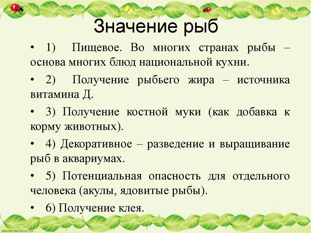 Значения рыб в природе и жизни человека