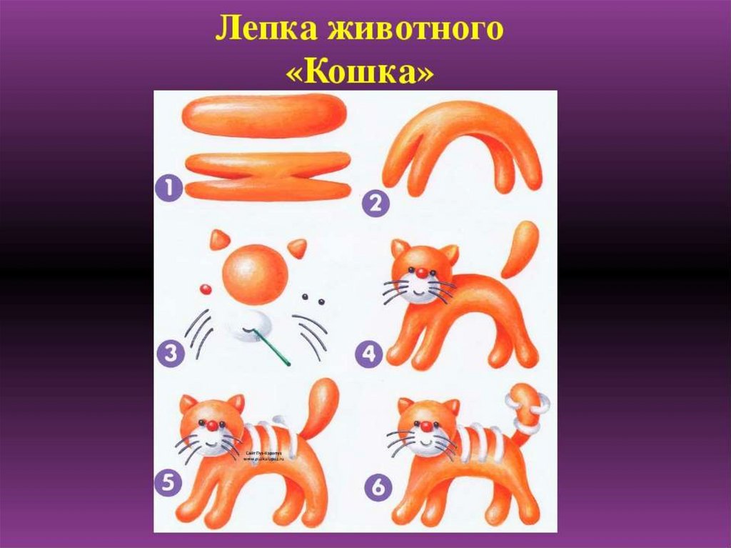 Картинка лепка кошка