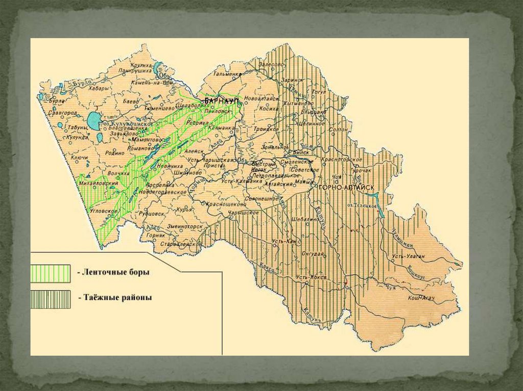 Схема лесничеств алтайского края