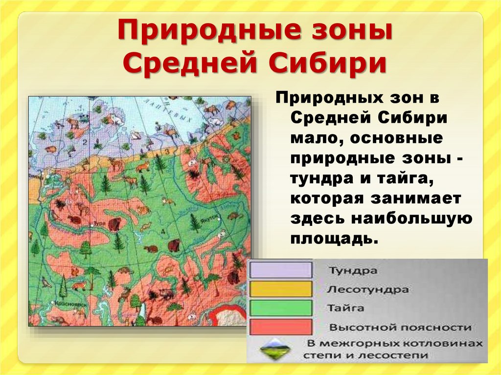 Природные зоны. Средняя Сибирь презентация. Растительность средней Сибири.