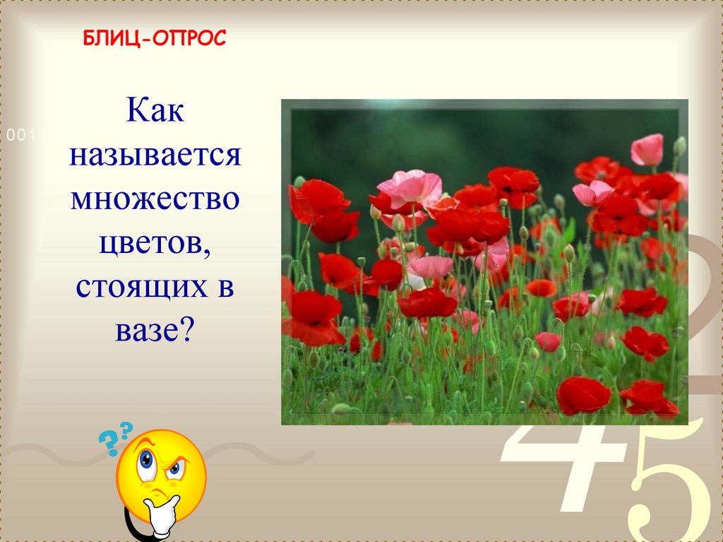 Где я стою как называется. Цветы стоят по пол года как называется. всё о блиц цветах..