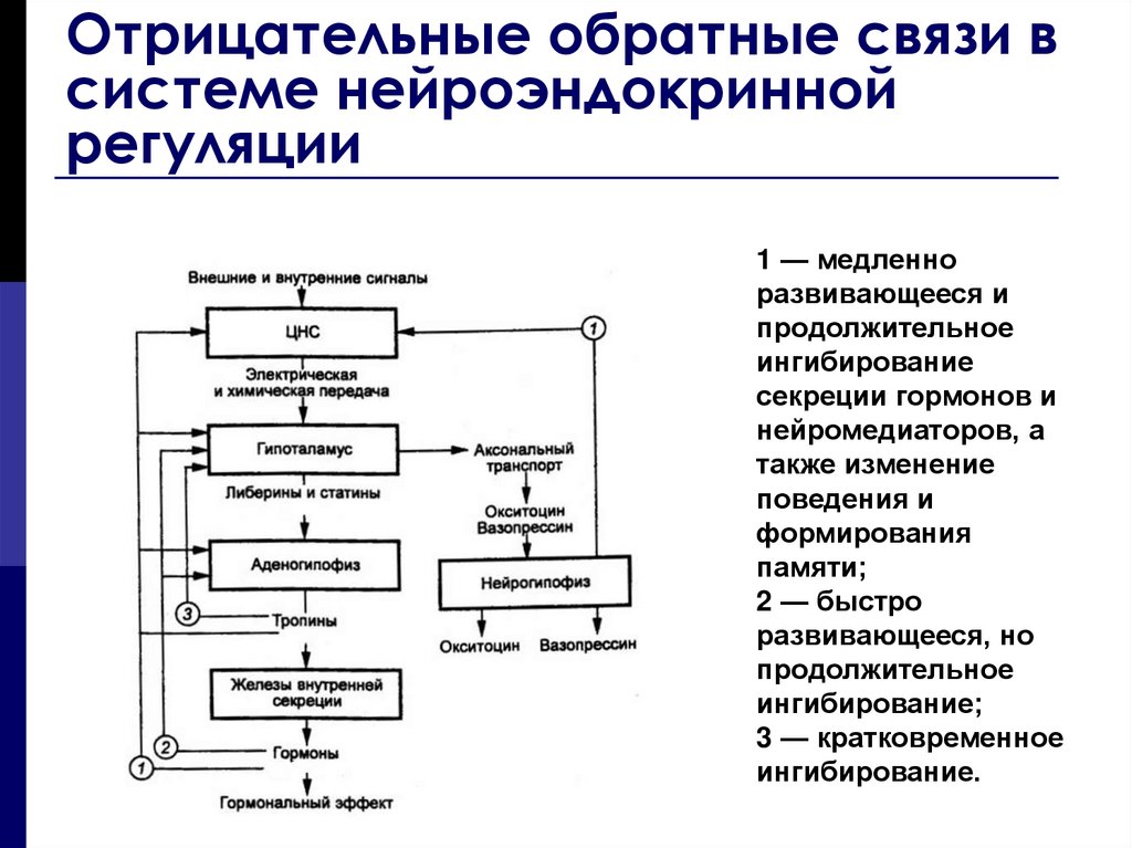 Отрицательная обратная связь