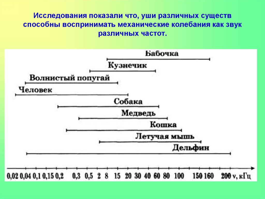 Какой диапазон частот способно улавливать ухо человека