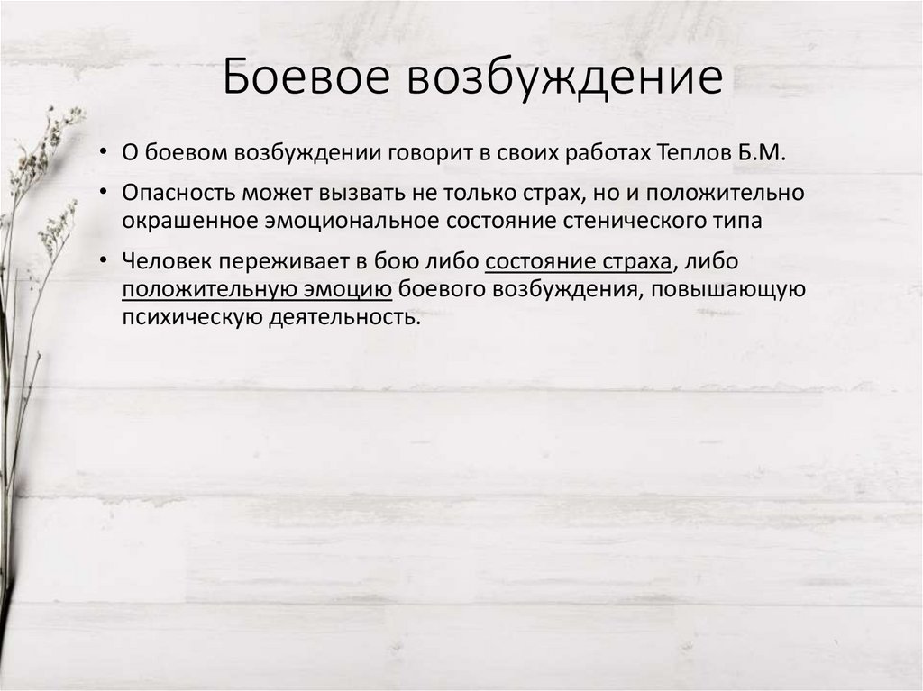 Боевое возбуждение