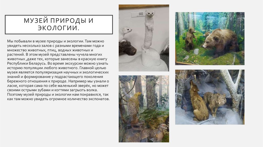 Музей природы и экологии.