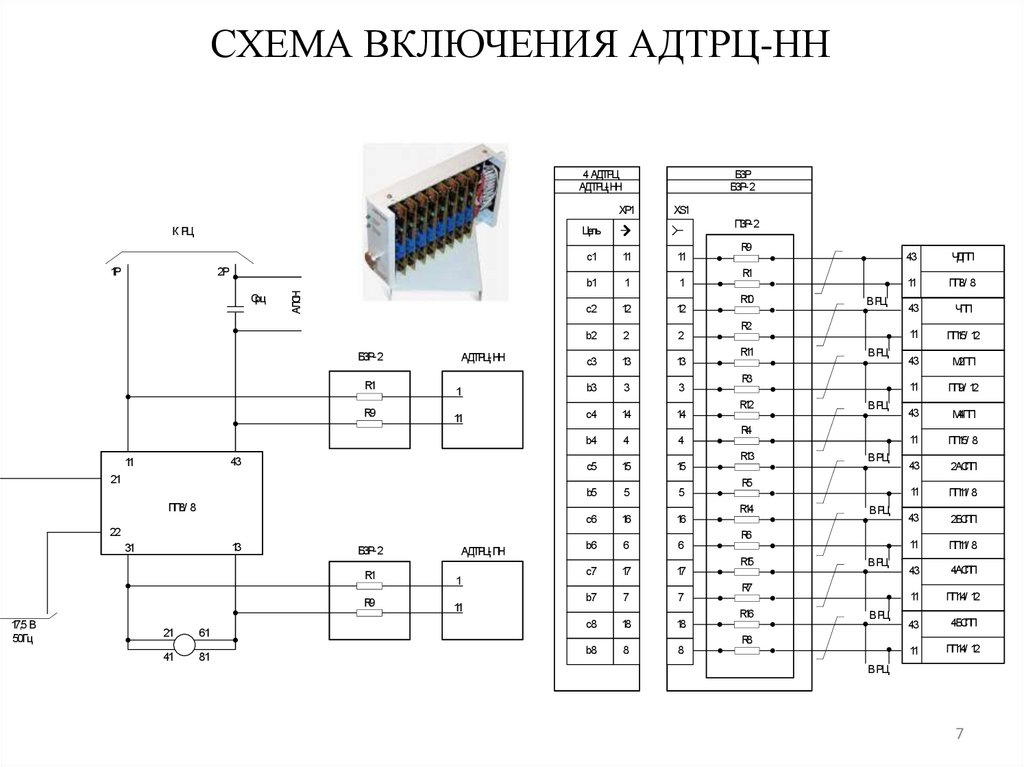 План заветный колос