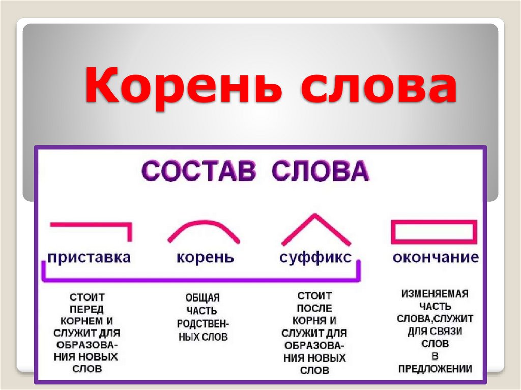 Корень в слове большой. Презентация корень слова.