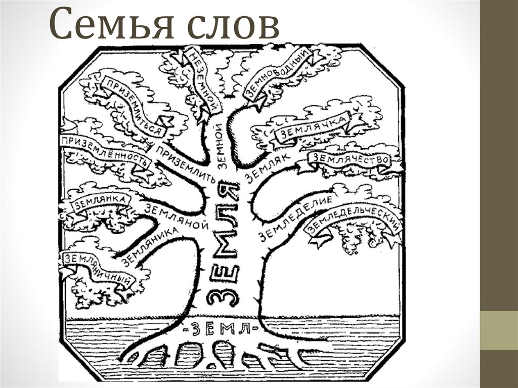 Дерево слов. Проект по русскому языку 3 класс семья слов дерево с однокоренными. Проект по русскому языку 3 класс семья слов однокоренные слова. Словообразовательное дерево. Дерево словообразования.