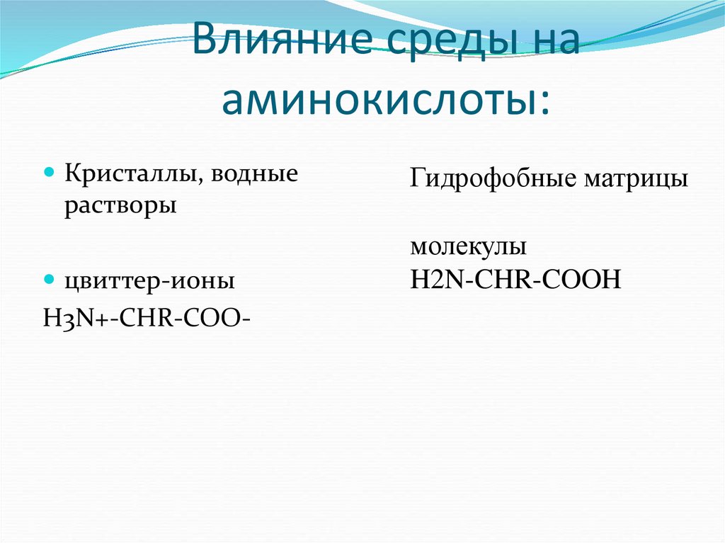 Роль среды. Влияние Аминов на человека.