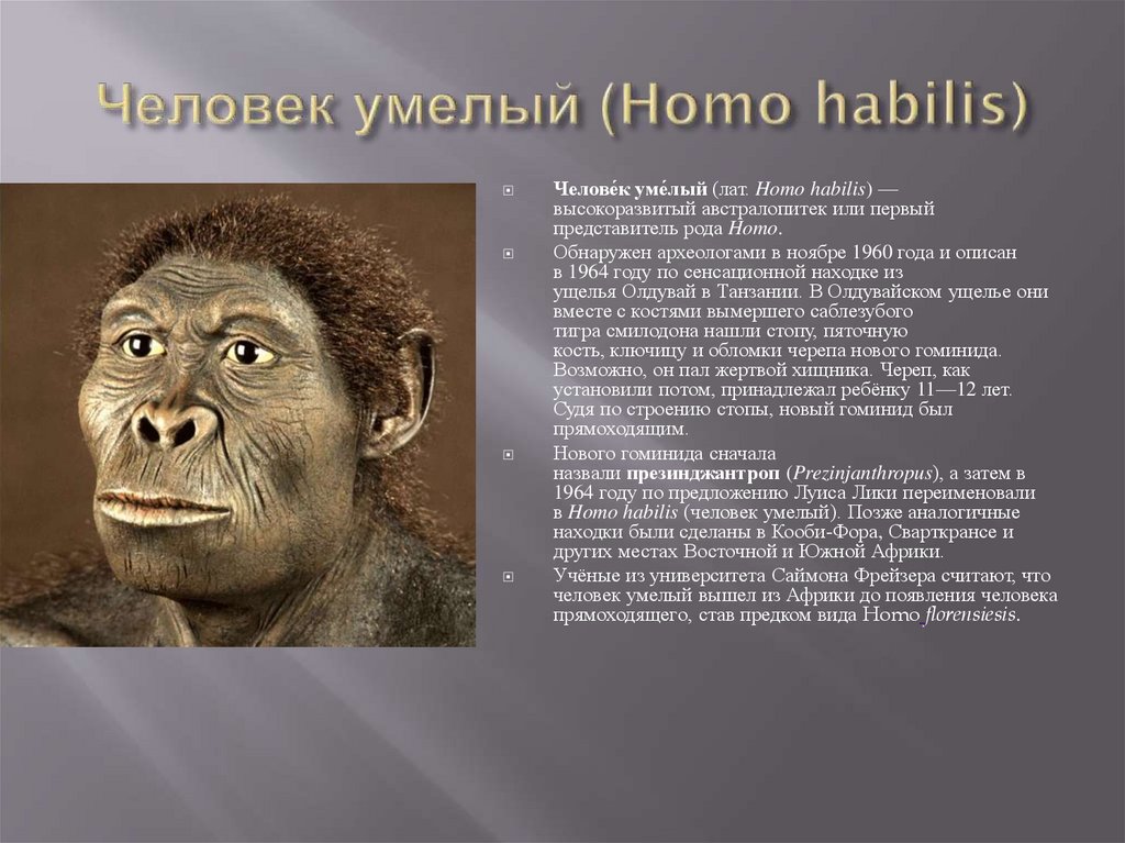 Антропология. Основные этапы эволюции человека - презентация онлайн