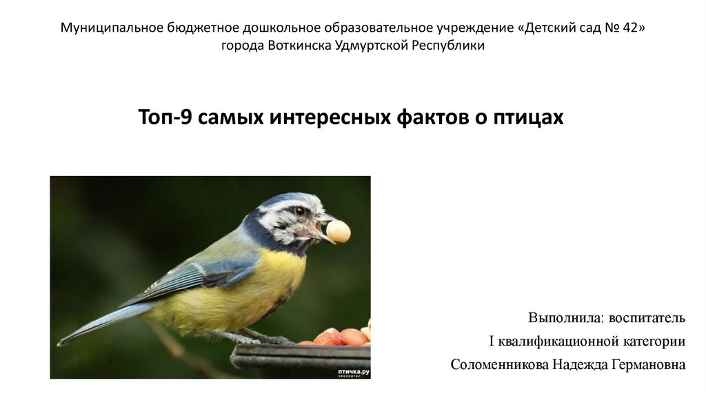 Даже у птиц забавные встречаются имена текст. Интересные факты о птицах. Что то интересное про птиц.