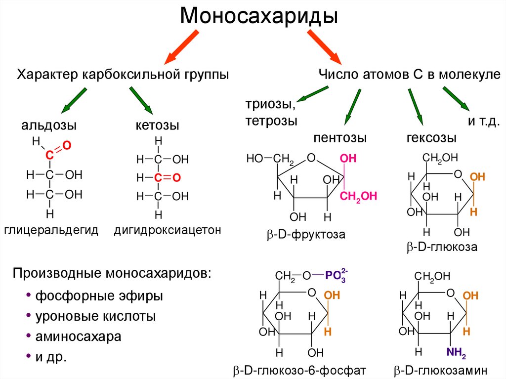 Моносахариды химия презентация